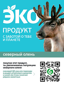 еко еко