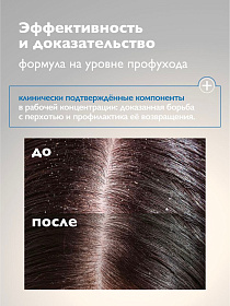 8008325355